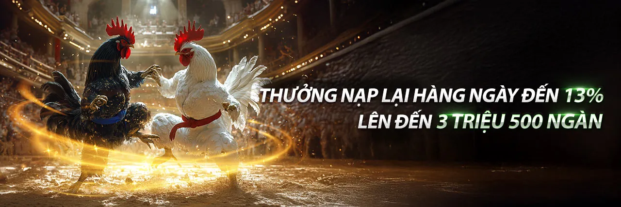 Đá gà trực tuyến 32win3 - Sân đấu gà hoành tráng với chiến kê dũng mãnh